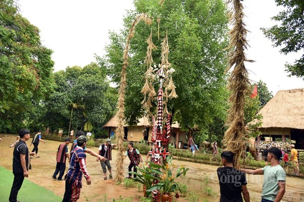 Dựng cây nêu trong lễ hội mừng lúa mới